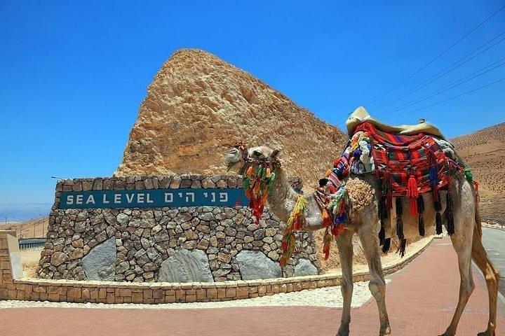 Masada, Dead Sea & Bedouin hospitality - Tiny group from Jerusalem