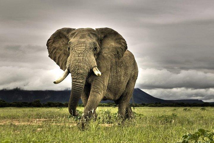 4 dias Cape Town Adventure