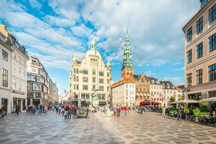 Private Shore Excursion: Copenhagen City Tour en bezoek Christiansborg Palace