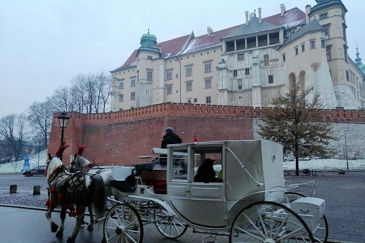 ワルシャワからアウシュビッツ、クラクフツアー高速列車（ピックアップ付き）