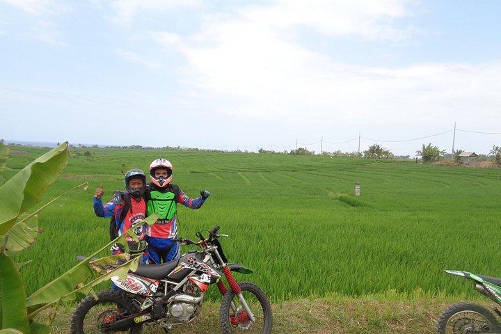BEGINNER RIDE - 乗り方を学び、砂浜を楽しむ