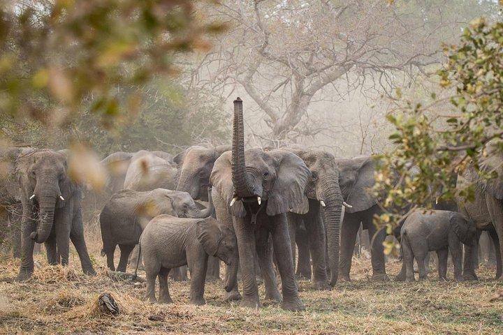 Visite personnalisée de la faune d'Akagera de 2 jours