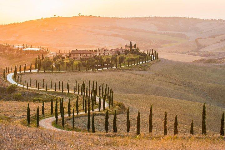San Gimignano Monteriggioni Toscane Chianti Dégustation de vin Fullday de Florence
