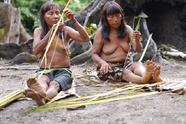 Native Communities and Tribes 12 Day Tour "Green Wild Amazon Expedition"