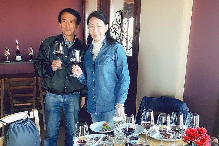 食事とワインの試飲付き、エトナ山の 3 つのワイナリーを巡る 6 時間のプライベート ツアー