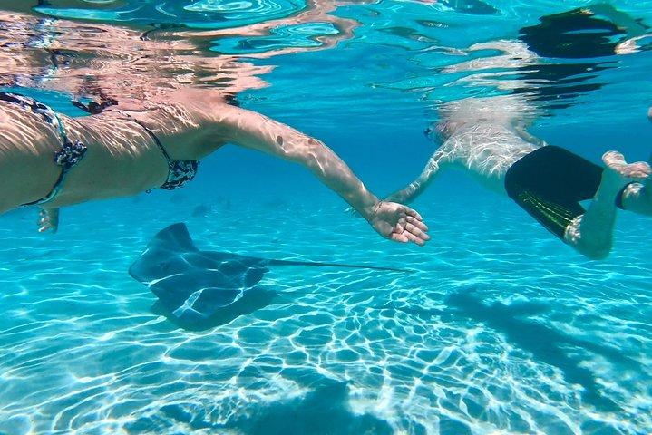Tour de medio día: Moorea Snorkel y navegación en un catamarán llamado Taboo