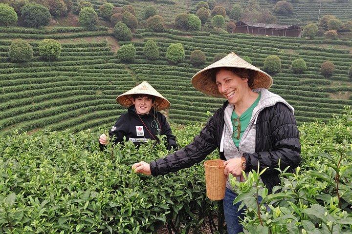 1-daagse Guilin City Tour met de Daxu Town en Yao Mountain vanuit Yangshuo