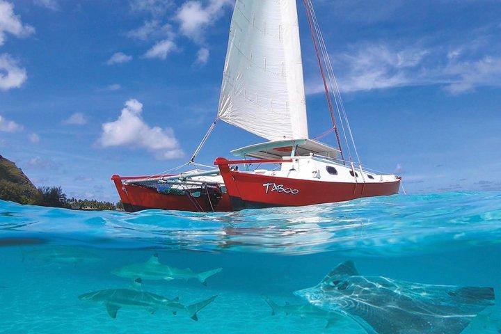Tour de medio día: Moorea Snorkel y navegación en un catamarán llamado Taboo