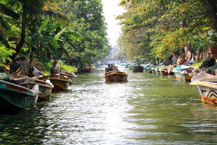 ネゴンボラグーン、オランダ運河、ムトゥラジャウェラ湿地ツアー