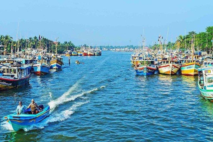 Recorrido por la laguna de Negombo, el canal holandés y el humedal de Muthurajawela