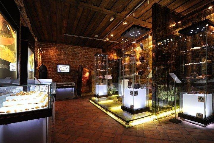 プライベートショアエクスカーション：グダニスクのウォーキングツアー+アンバー博物館+マルボルク城