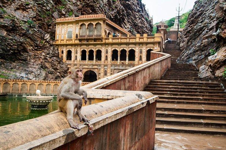 Private 6 Stunden: Jaipur-Tempel-Tour