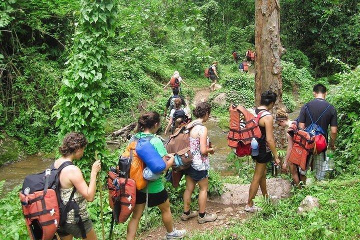 2 DAGE 1 NAT Deltag i Jungle Trek i Huay Nam Dung National Park