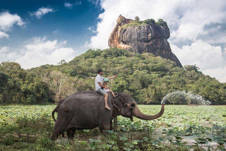 Excursão de um dia com tudo incluído à fortaleza de rocha de Sigiriya saindo de Negombo