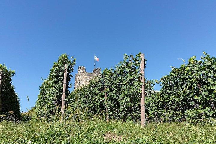 Wine and Food tasting PRIVATE Guided Tour