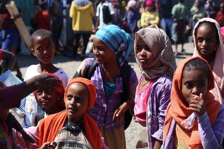 Addis Abeba + kratersjöar i Debrezeit