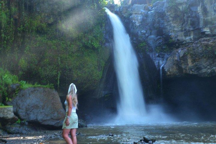 Kintamani Ubud Tours All Inclusive