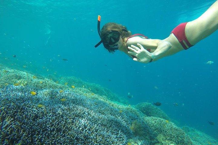 ギリ・トラワンガン、メノ、エアへの特別日帰り旅行：ロンボク発