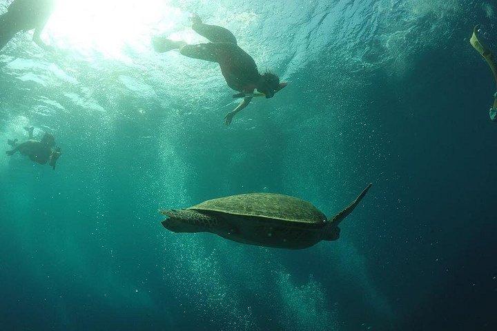 ギリ・トラワンガン、メノ、エアへの特別日帰り旅行：ロンボク発