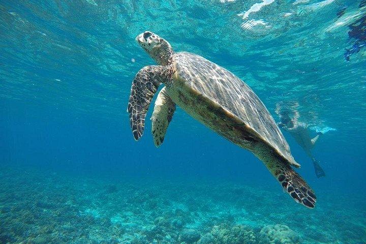 ギリ・トラワンガン、メノ、エアへの特別日帰り旅行：ロンボク発