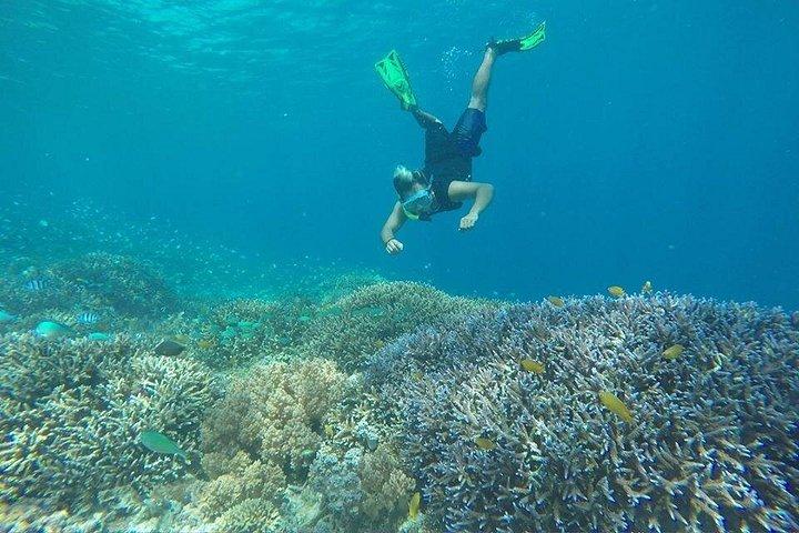 ギリ・トラワンガン、メノ、エアへの特別日帰り旅行：ロンボク発