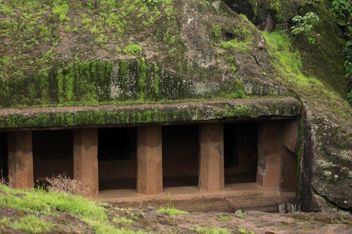 Cavernas de Kanheri e Parque Nacional Sanjay Gandhi