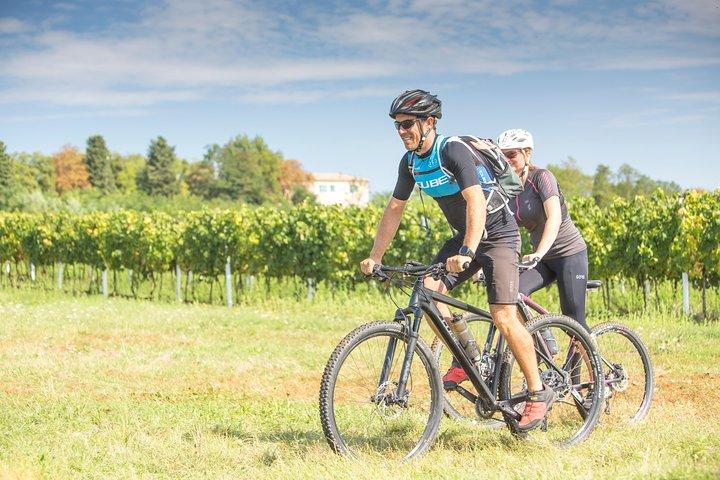 5-Days Guided Bike Tour in Istria with Private Accommodation