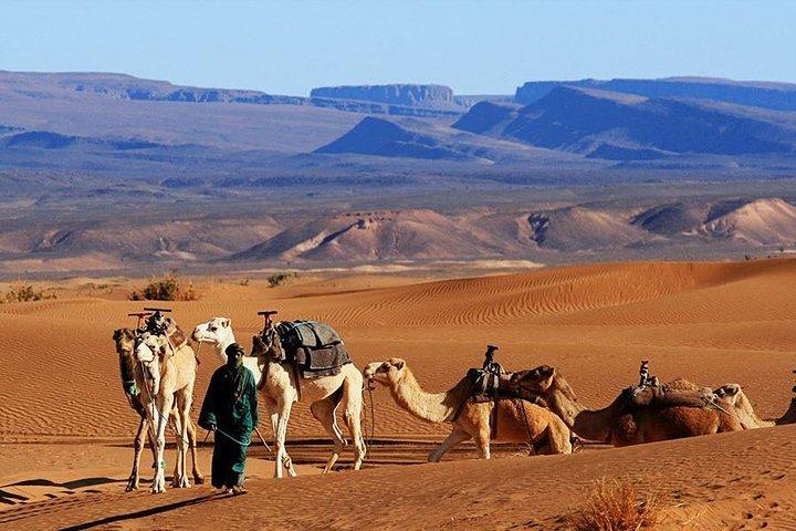 2 dagars rundtur från Marrakech, Zagora Desert Camp