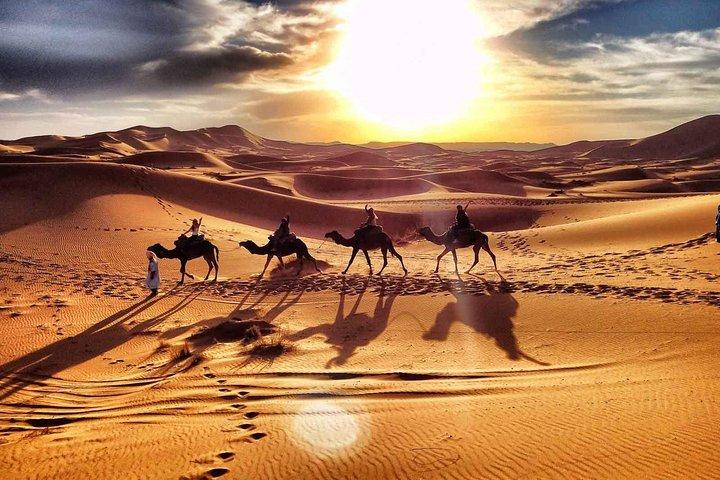 2 dagars rundtur från Marrakech, Zagora Desert Camp