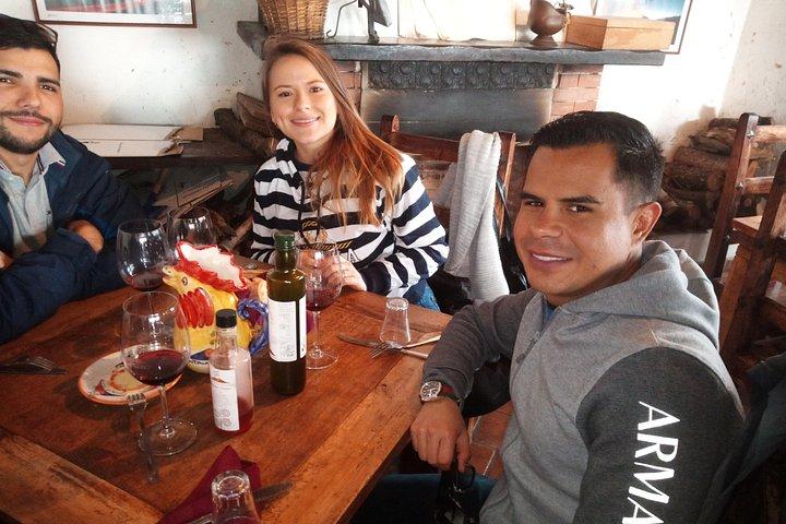 ナポリ港からのランチとワインの試飲付きポンペイとヘルクラネウムの優先入場