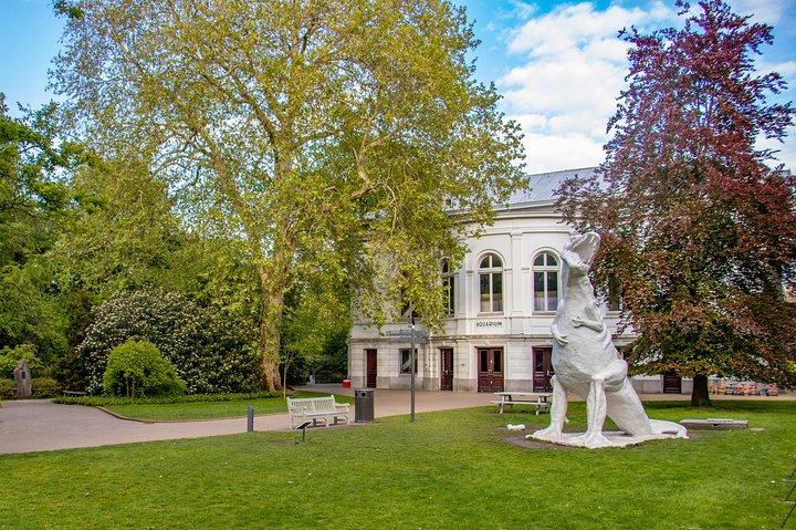 Explore a arte e a cultura de Amsterdã com um local