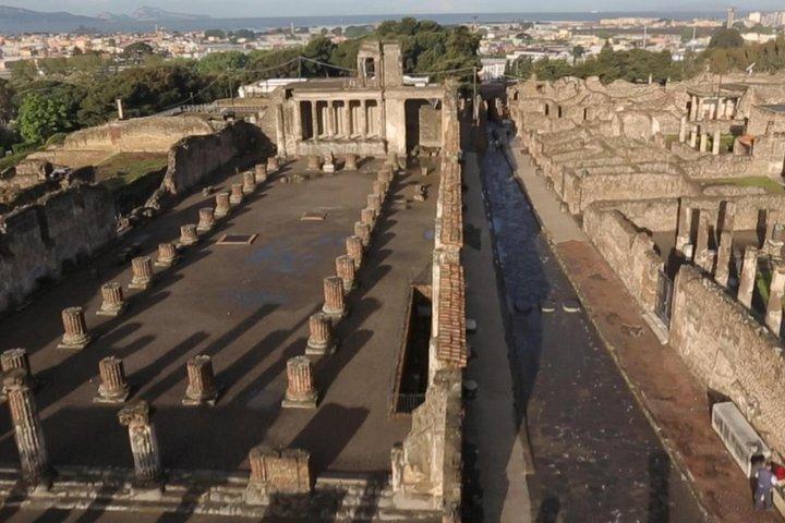 Billet coupe-file pour Pompéi et Herculanum avec déjeuner et dégustation de vins depuis le port de Naples