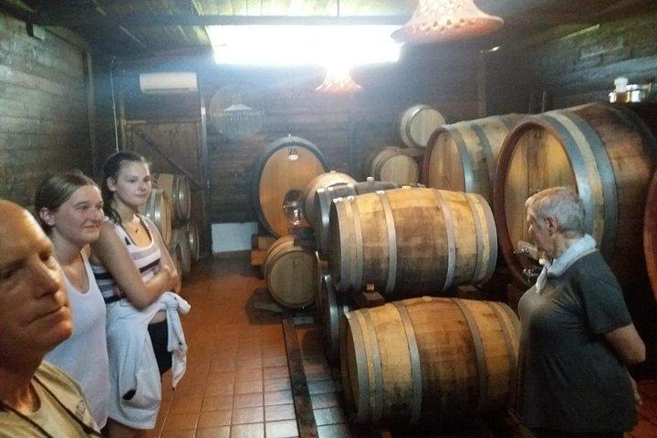 ナポリ港からのランチとワインの試飲付きポンペイとヘルクラネウムの優先入場