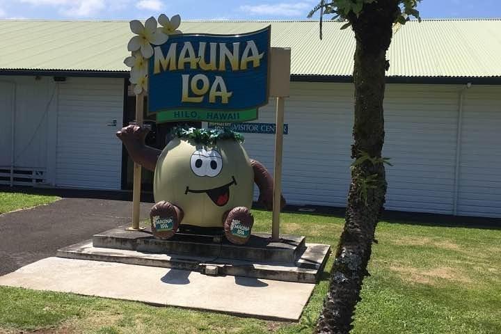 Excursión de 1 día de Oahu a Big Island: excursión al volcán desde Oahu con boleto aéreo