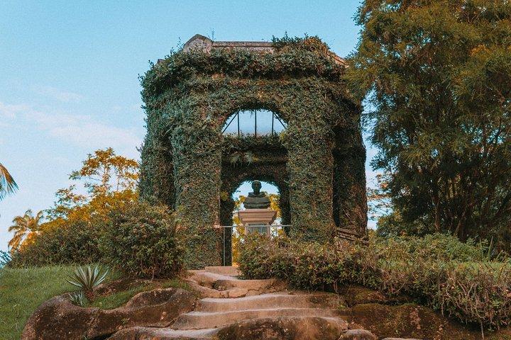 Rio de Janeiro Botanical Garden & Tijuca Forest Tour