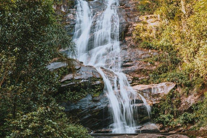Rio de Janeiro Botanical Garden & Tijuca Forest Tour