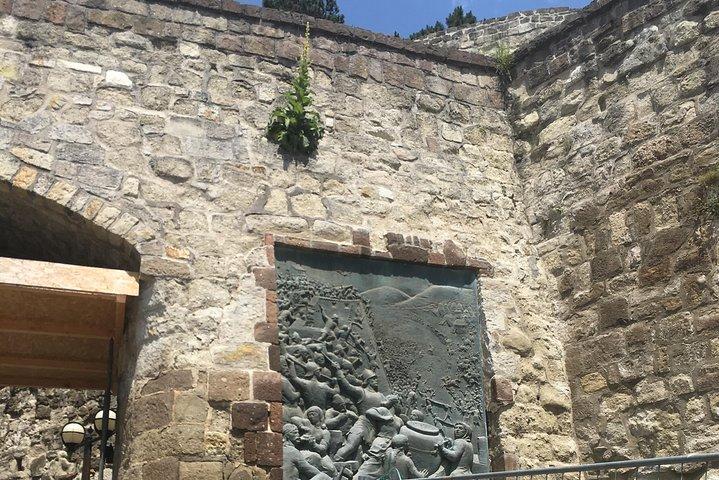 Excursão turística e vinícola em Eger