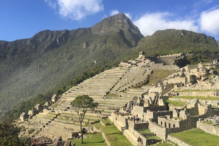 Machu Picchu Full Day Tour da Cusco