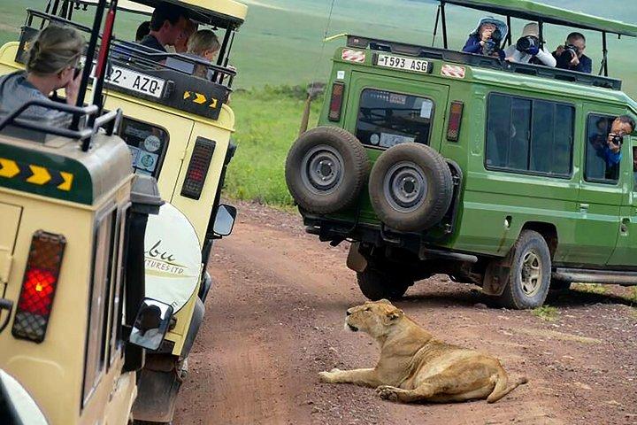 5Dias Camping Safari: Ngorongoro, Serengeti, Lago Manyara y Tarangire
