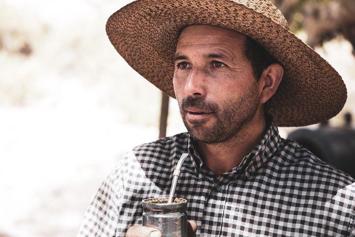 Excursion d'une journée au départ de Mendoza - Ranch Don Daniel