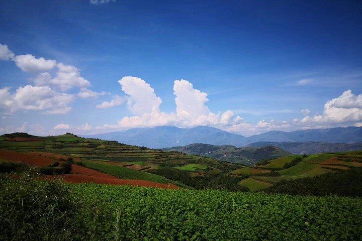 Visite privée de 3 jours de la terre rouge de Dongchuan et de la forêt de pierre au départ de Kunming