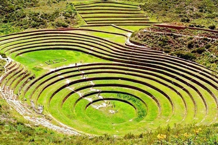 Maras & Moray