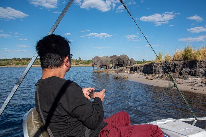 Chobe Day Trip