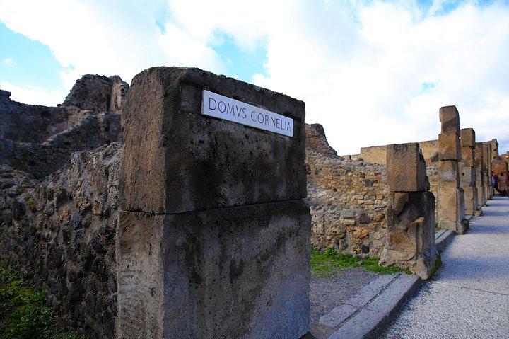 Visite privée d'une demi-journée des points forts des ruines de Pompéi et de Mann