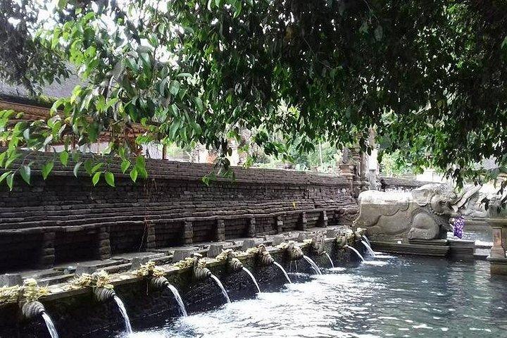 ライス テラスとバリ スイング ツアー