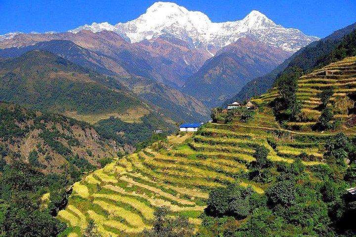 3-tägiger Ghandruk Loop Trek ab Pokhara