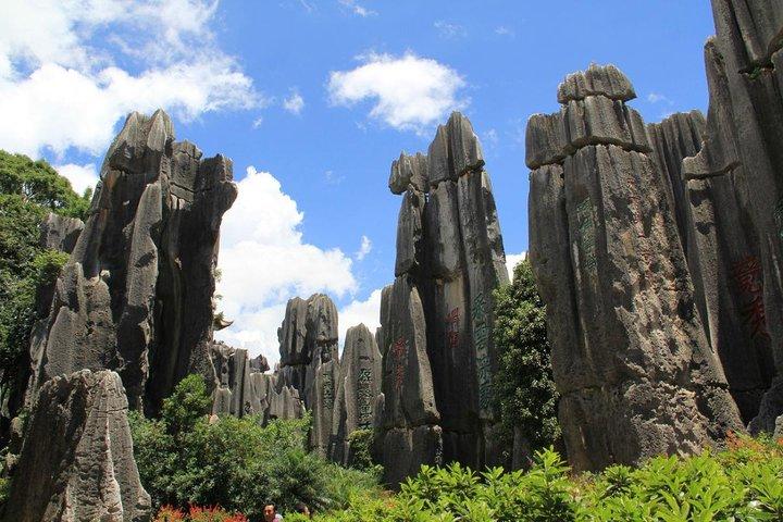 1-dagars privat turné: Stone Forest och Western Hill (Dragon Gate) från Kunming