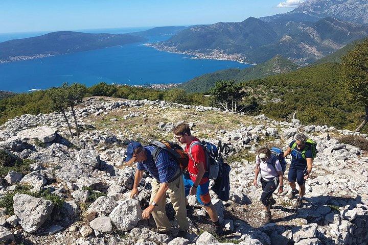Vandre Vrmac-halvøen med panoramaudsigt over Kotor-bugten