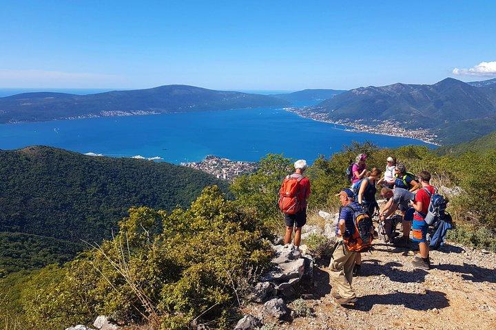 Vandre Vrmac-halvøen med panoramaudsigt over Kotor-bugten
