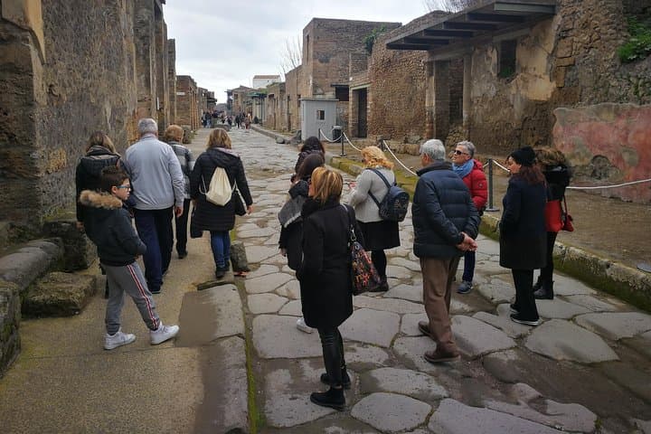Mount Vesuvius Shore Tour, Pompeii & Winery Vesuvius Winery